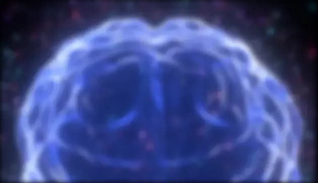 human-brain